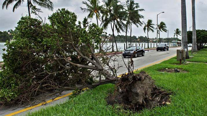 Imaacutegenes del huracaacuten Irma que ya estaacute en categoriacutea 3