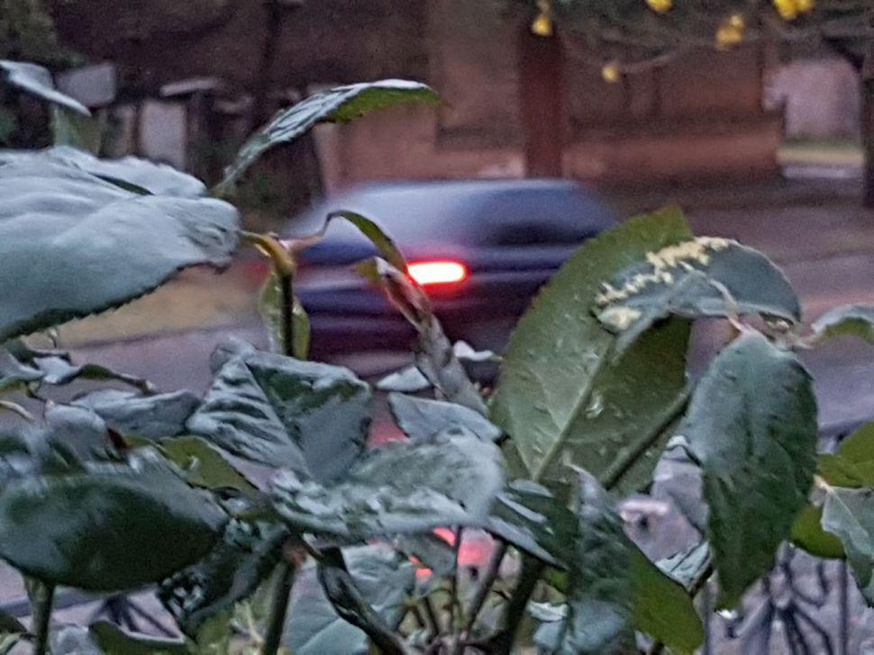 Lluvia y granizo sorprendioacute a los frienses bien temprano