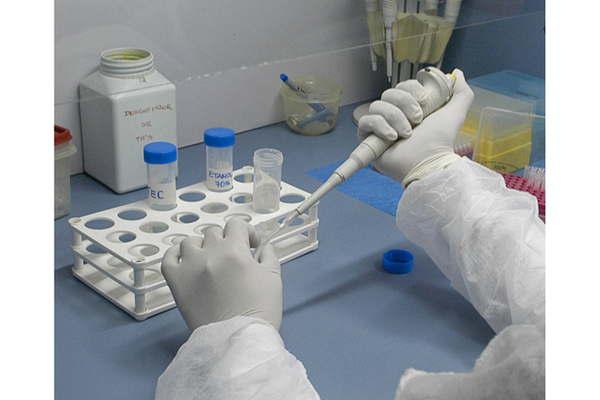 Anaacutelisis de ADN delatoacute que tiacuteo violoacute y embarazoacute a la sobrina de 15 antildeos