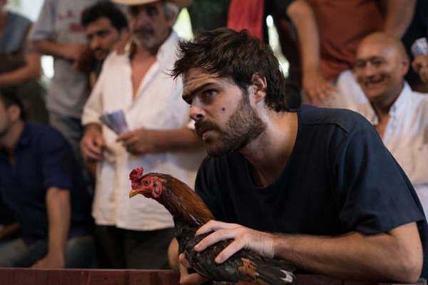 El submundo de las rintildeas de gallos y los piratas del asfalto 