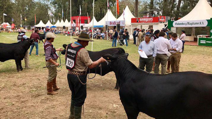 Ante un gran marco dio inicio la ExpoBRA 2017