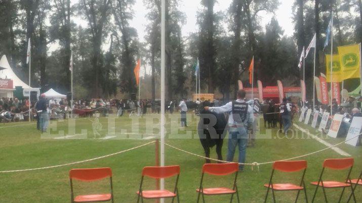 Ante un gran marco dio inicio la ExpoBRA 2017