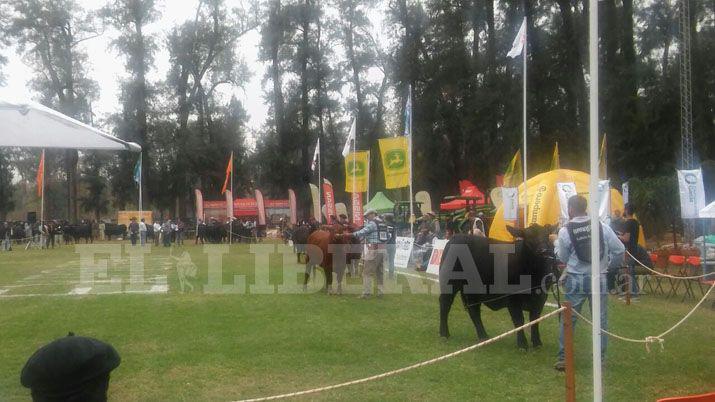 Ante un gran marco dio inicio la ExpoBRA 2017