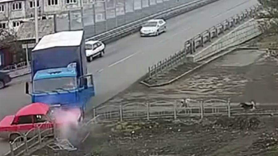 Viral- Perros salen a ladrar los accidentes de traacutensito