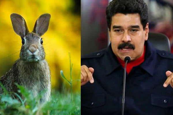 Maduro lanzoacute el Plan conejo para resolver la crisis alimentaria