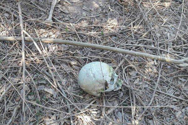 Una pareja cortaba lentildea y se topoacute con un craacuteneo humano
