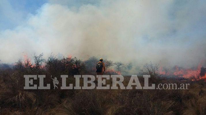 Una colilla de cigarrillo provocoacute un incendio a la vera de la Ruta 9