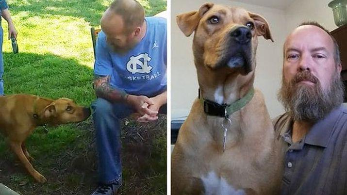 Estuvo internado perdioacute peso y su perro no lo reconocioacute- miraacute lo que pasoacute