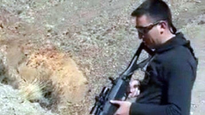 Indignante- en un video festejaron la agoniacutea de un puma al que cazaron