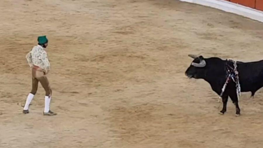 Video- Una cornada fatal termina con la vida de un joven torero