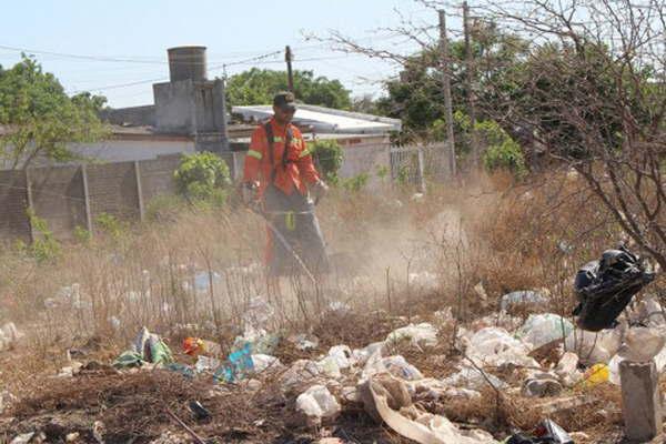 Intensifican las tareas de limpieza y erradicacioacuten de basurales en la ciudad