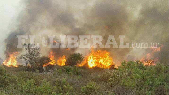 Importantes incendios forestales se registran en la zona de Mailín