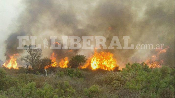 Importantes incendios forestales se  registran en la zona de Mailín