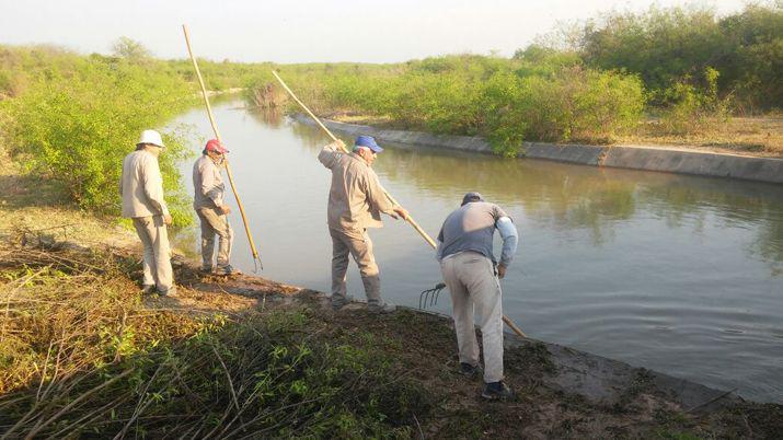 Teacutecnicos y productores trabajan articuladamente para limpiar el Canal Revestido