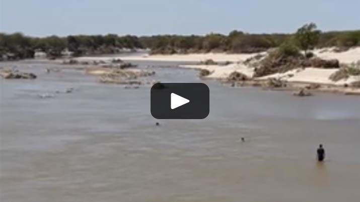 VIDEO  Desesperante rescate de un pescador en el Riacuteo Dulce
