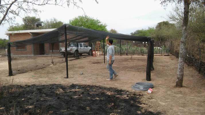 Comenzaron la construccioacuten de sombraacuteculos para proteger producciones del calor