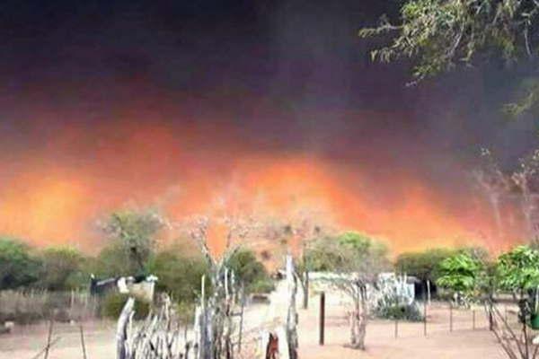 El fuego que arrasoacute grandes extensiones de montes dejoacute numerosas familias devastadas 