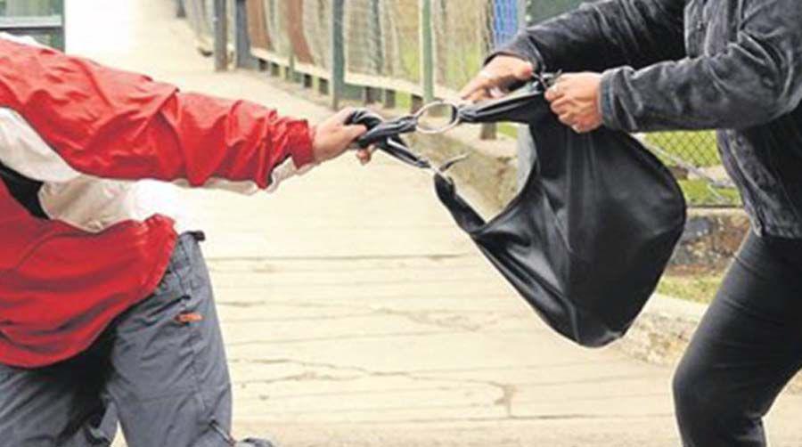 Increpoacute a una mujer y la arrojoacute al piso para robarle la cartera