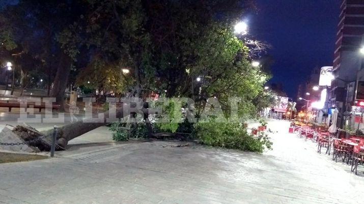 Videos Fuertes raacutefagas de viento sorprendieron a Santiago