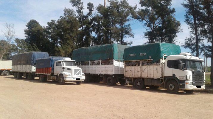 Incautan 50 toneladas de carboacuten valuadas en 200000