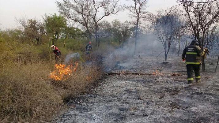 Pavoroso incendio forestal en Nueva Francia