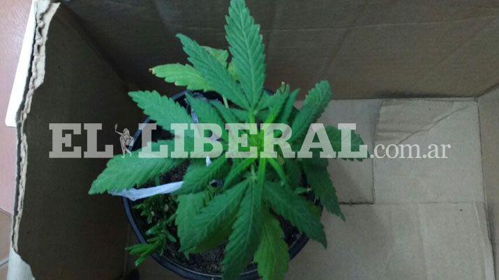 La tenía escondida en una caja