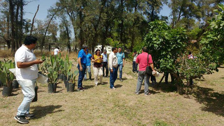 Teacutecnicos se capacitan en manejo de montes frutales para la Agricultura Familiar