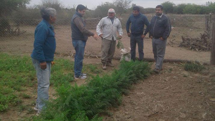 Visitan a huerteros para trabajar la diversificacioacuten de productos
