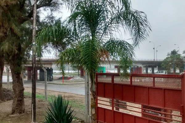 Se hospedaron en una cabantildea por 6 diacuteas y se fueron sin pagar 50000