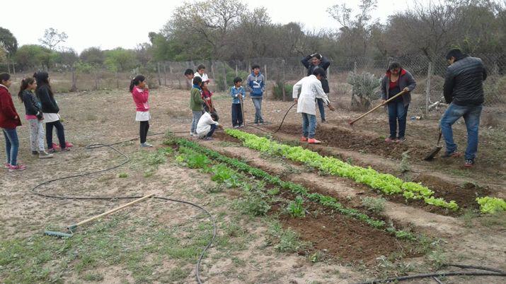 Teacutecnicos ensentildean a los alumnos a crear y mantener la huerta escolar