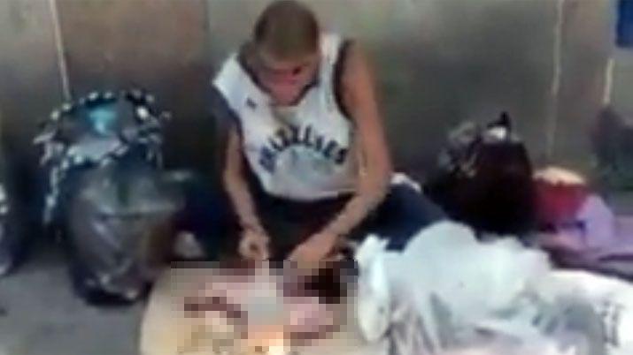 VIDEO Venezuela- filman a una mujer comieacutendose un gato