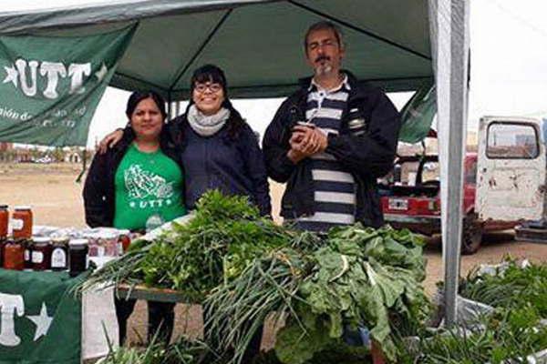Venderaacuten siete variedades de verduras a 50