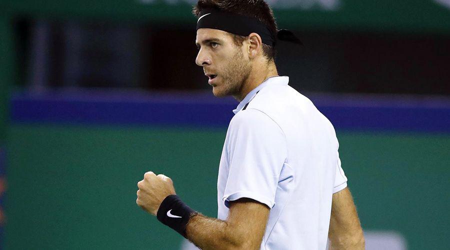 Del Potro derrotoacute a Troicki y se metioacute en semifinales