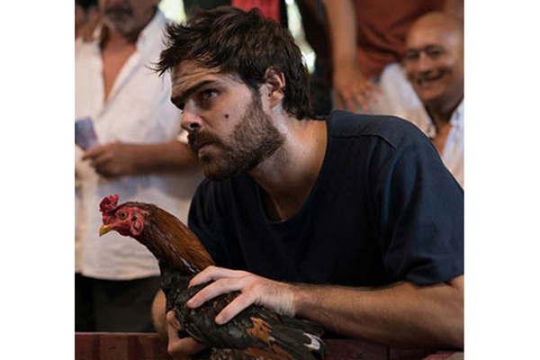 Un gallo para Esculapio tendraacute su maratoacuten