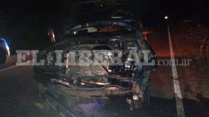 Turistas tucumanos chocaron a dos animales vacunos