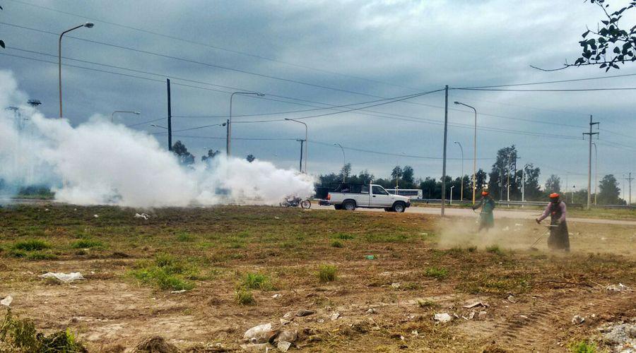 Refuerzan el trabajo de prevencioacuten de plagas en varios barrios