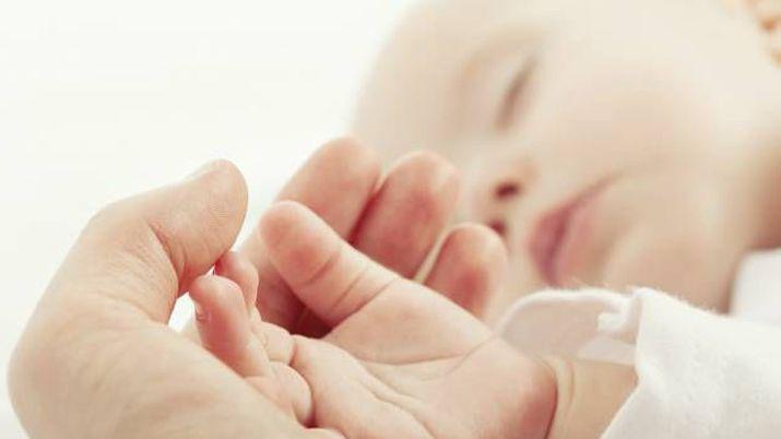 iquestExiste el instinto materno