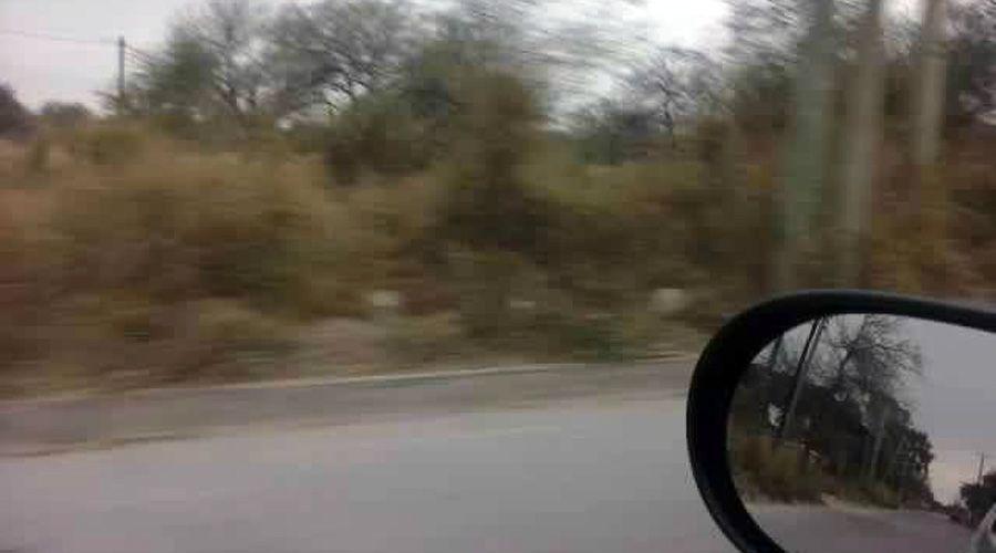 ANEacuteCDOTAS DEL TAXI Amor de abuela