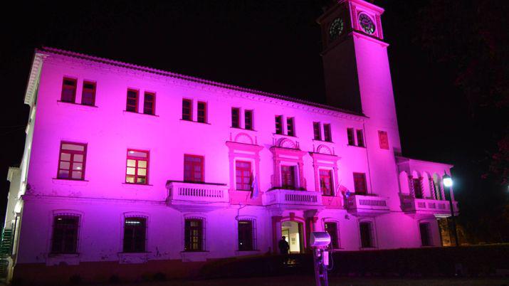 La Casa de Gobierno se tiñó de rosa contra el c�ncer de mama