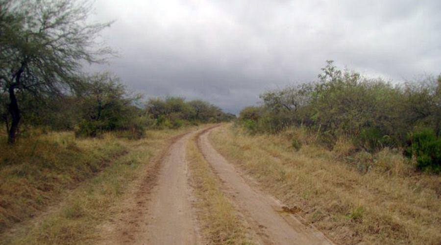 ANEacuteCDOTAS DEL TAXI Esculapio