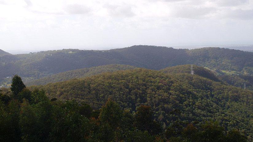 Encuentran una lombriz gigante en Australia