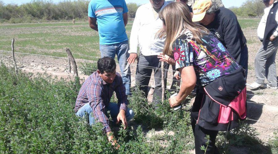 Capacitaciones y Feria convocan a técnicos y agricultores familiares en distintas actividades