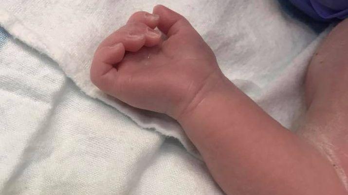 Nacioacute Mirko el hijo de Marley