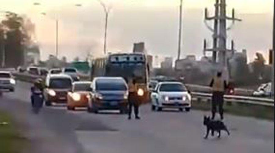 VIDEO  Policiacuteas santiaguentildeos cortan el traacutefico para que cruce un perro