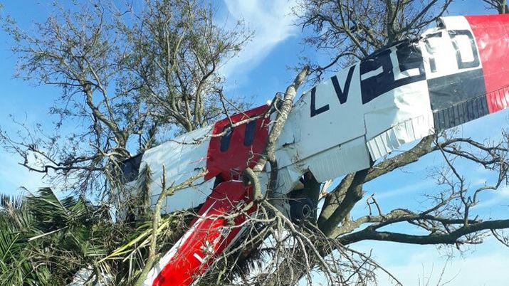 Estrelloacute su avioneta contra un aacuterbol y murioacute