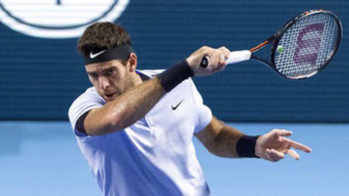 Del Potro cayoacute ante Federer en la final de Basilea