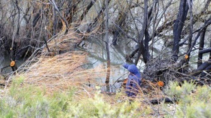 El lugar donde finalmente se encontró el cuerpo