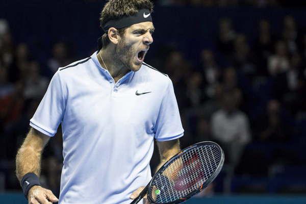 Juan Martín del Potro