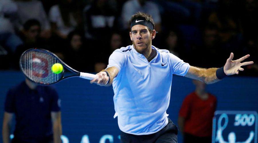 Juan Martiacuten del Potro ganoacute y pasoacute a octavos en Pariacutes