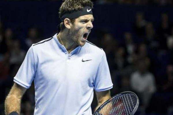 Del Potro sigue con buen ritmo en Pariacutes 